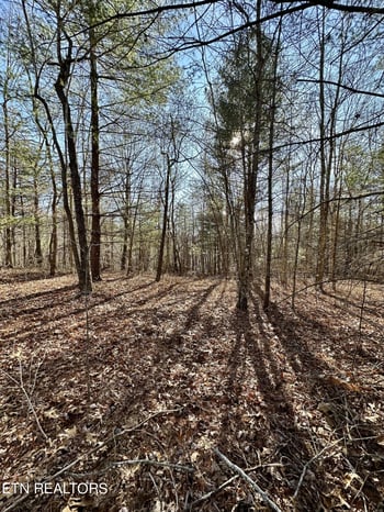 0 Woodland Trail Lot 17, Sunbright, TN 37872