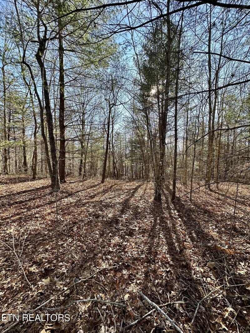 0 Woodland Trail Lot 17, Sunbright, TN 37872