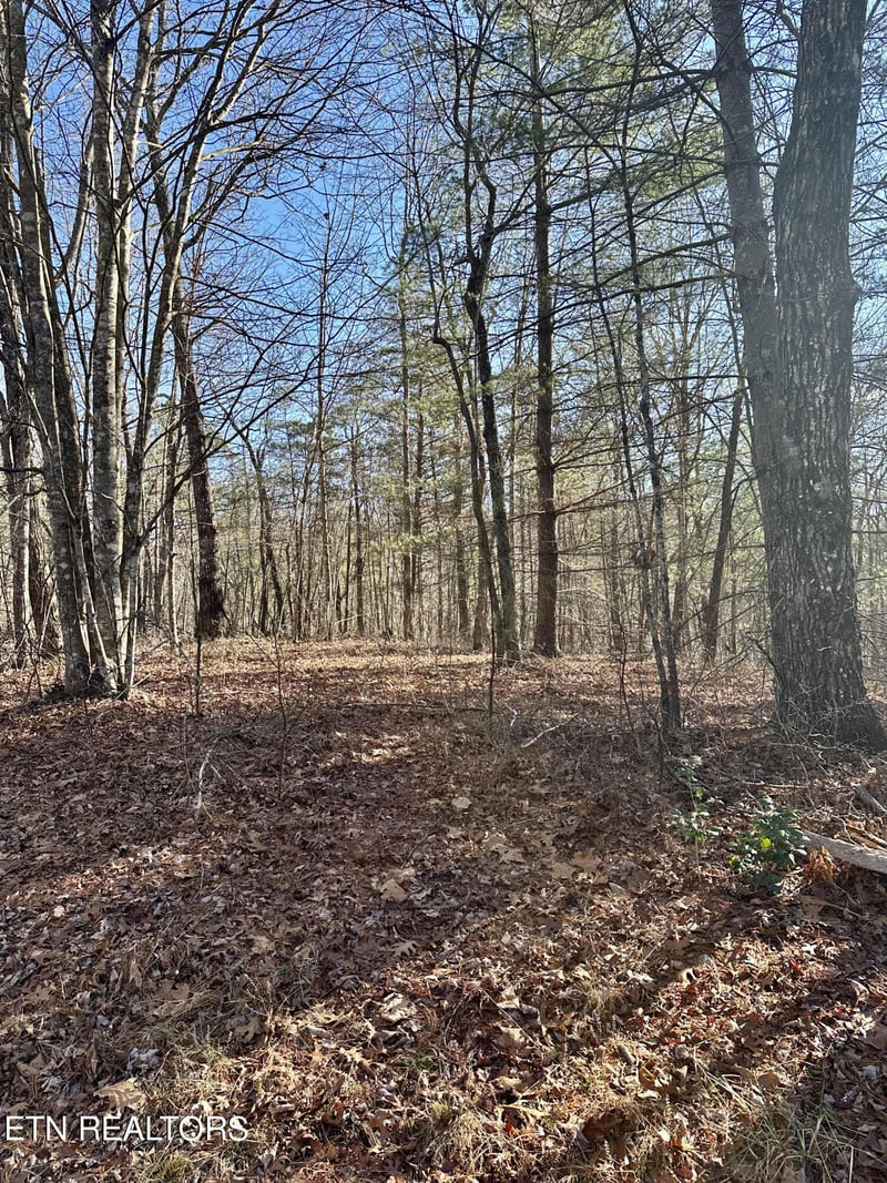 0 Woodland Trail Lot 17, Sunbright, TN 37872