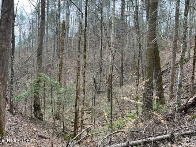 0 Woodside Ln, Sevierville, TN 37862