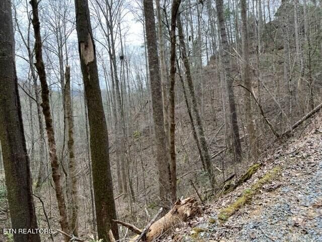 0 Woodside Ln, Sevierville, TN 37862
