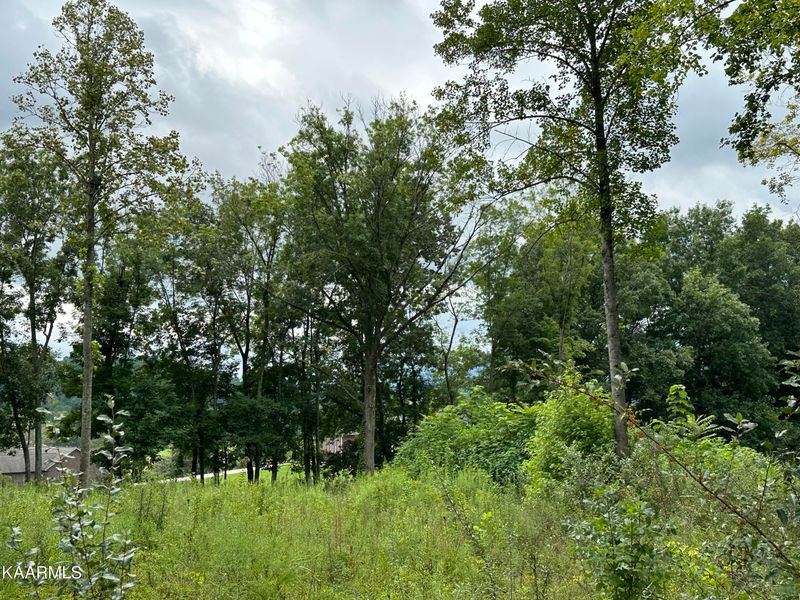 0 Woodvine St #109E A 027.02, Jacksboro, TN 37757