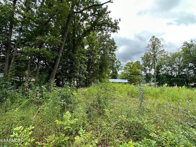 0 Woodvine St #109E A 027.02, Jacksboro, TN 37757