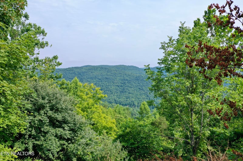 0 Wool Ln, Jellico, TN 37762