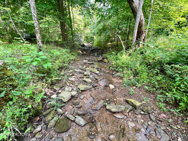 0 Wool Ln, Jellico, TN 37762
