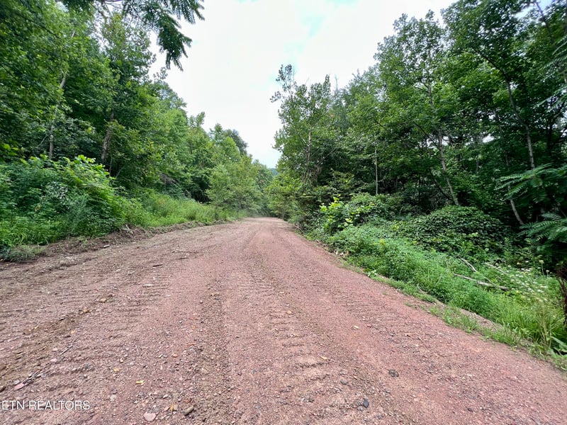 0 Wool Ln, Jellico, TN 37762