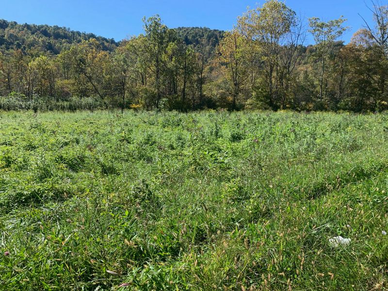 0 Wooldridge Ln, Jellico, TN 37762
