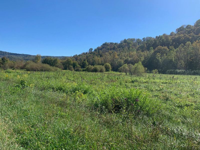 0 Wooldridge Ln, Jellico, TN 37762