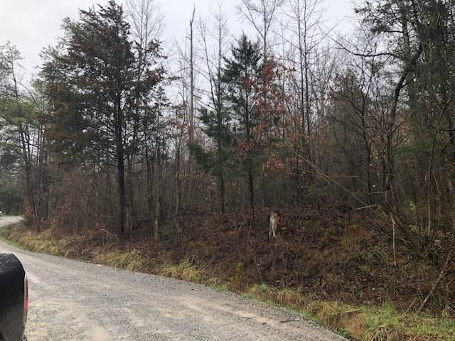 0 Wright Rd, Madisonville, TN 37354