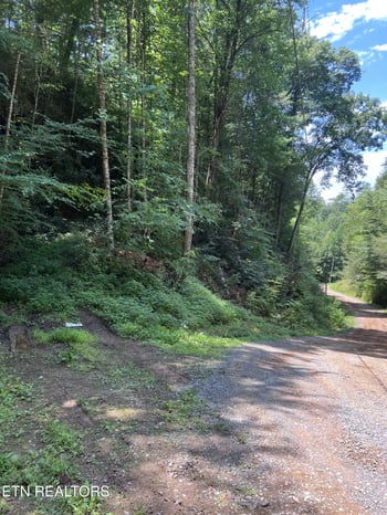 0 Yellow Breeches Rd, Cosby, TN 37722