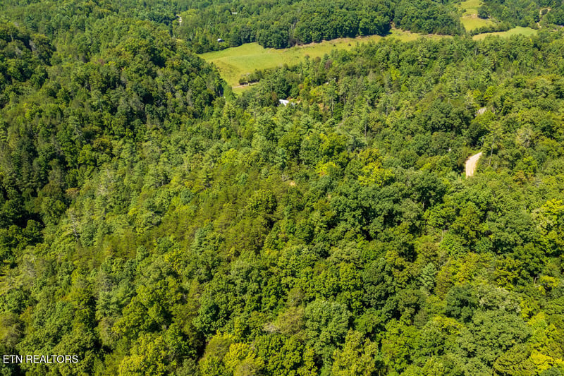0 Yellow Breeches Rd, Cosby, TN 37722