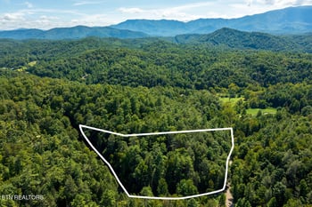 0 Yellow Breeches Rd, Cosby, TN 37722