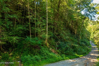 0 Yellow Breeches Rd, Cosby, TN 37722