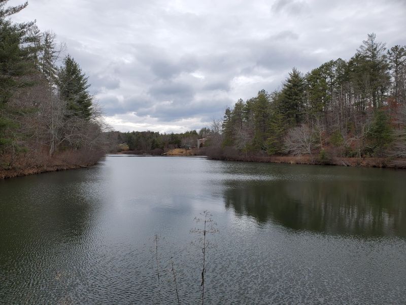 0 Yellow Nugget Rd, Tellico Plains, TN 37385