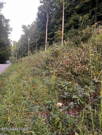 0 Yoakum Hollow Rd, Jacksboro, TN 37757