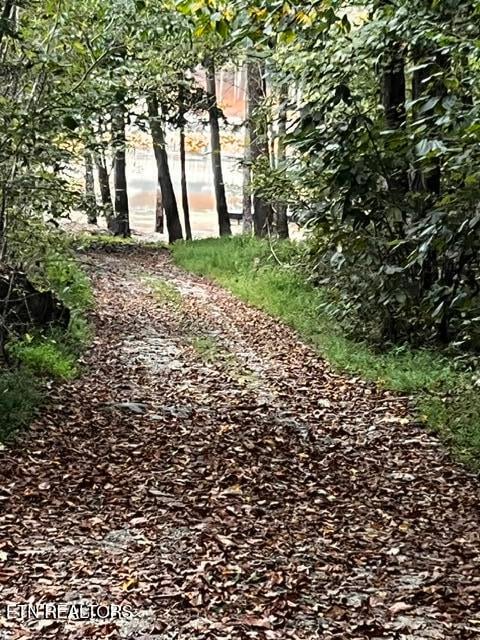 0 Yoakum Hollow Rd, Jacksboro, TN 37757