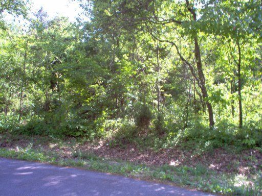 0 Yona Ln, Loudon, TN 37774