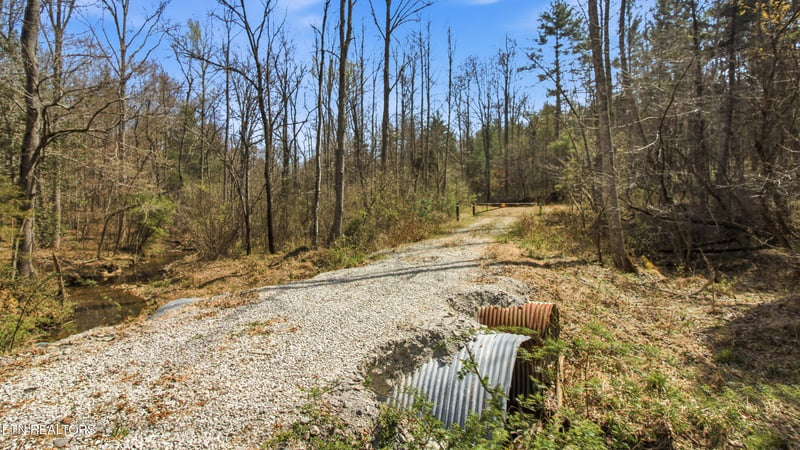 0 Young Rd, Robbins, TN 37852