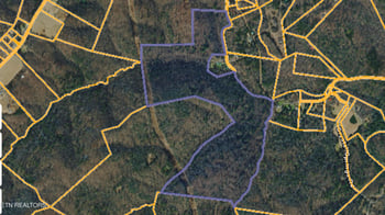 0 Young Rd, Robbins, TN 37852