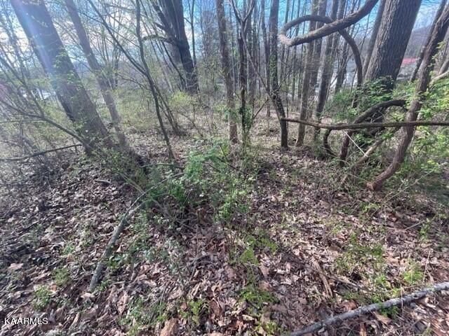 0 Zeni Ln, Harriman, TN 37748