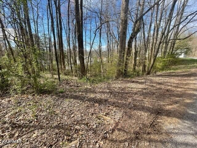 0 Zeni Ln, Harriman, TN 37748