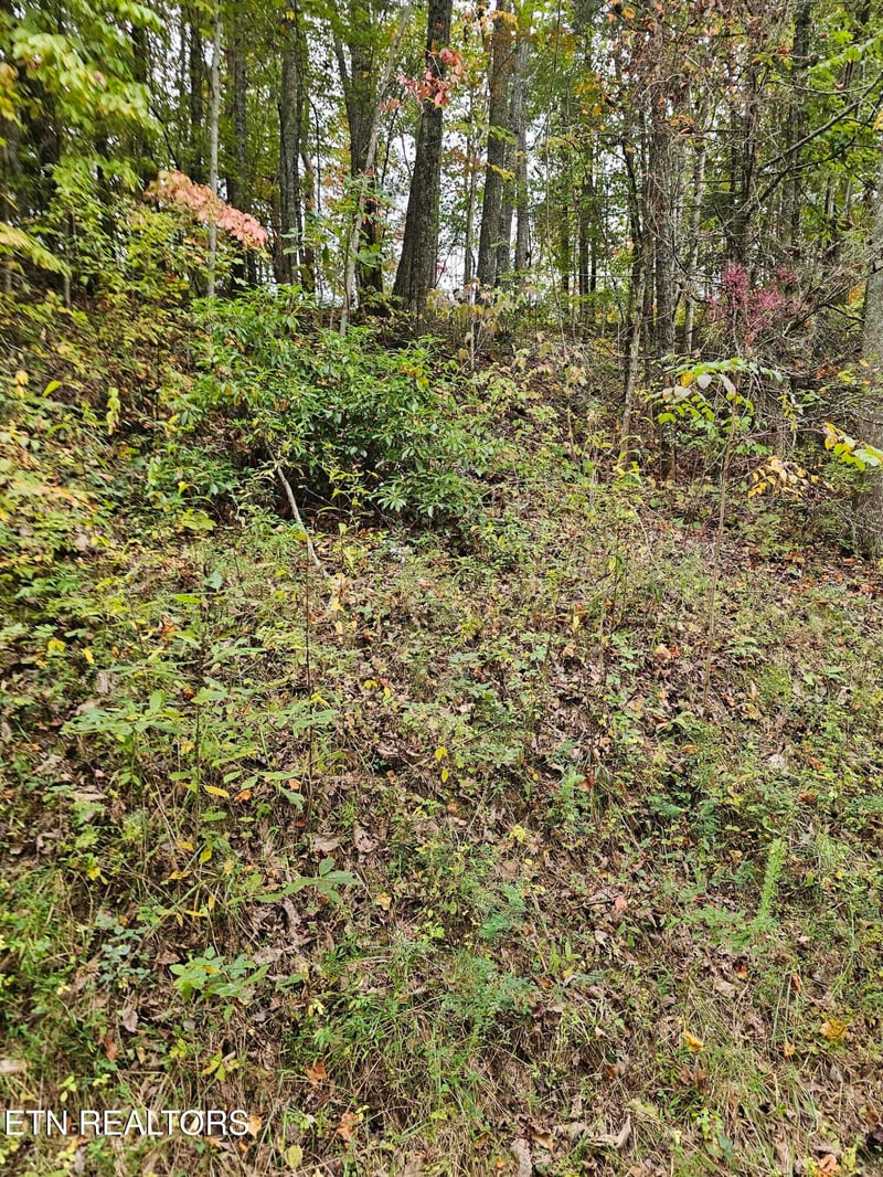 0.16 Acres S Lindsey St, Tallassee, TN 37878