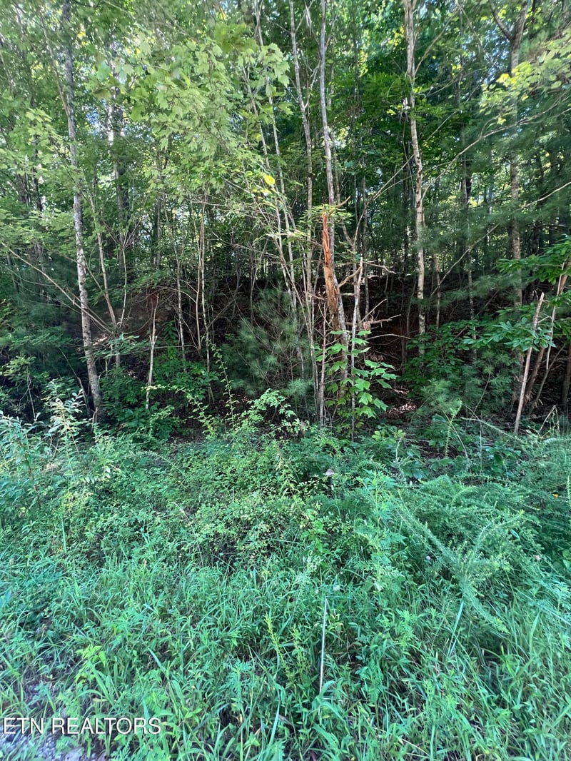 0.22 ac Hickory Hollow Rd, Crossville, TN 38572
