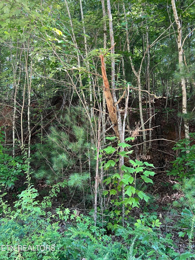 0.22 ac Hickory Hollow Rd, Crossville, TN 38572