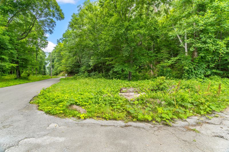 00 Avondale Hollow Rd, Rutledge, TN 37861