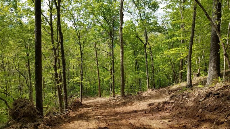 00 Bullen Valley Rd #190 Acres, Thorn Hill, TN 37881