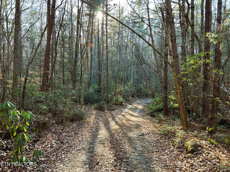 00 Bullet Creek Rd, Reliance, TN 37369