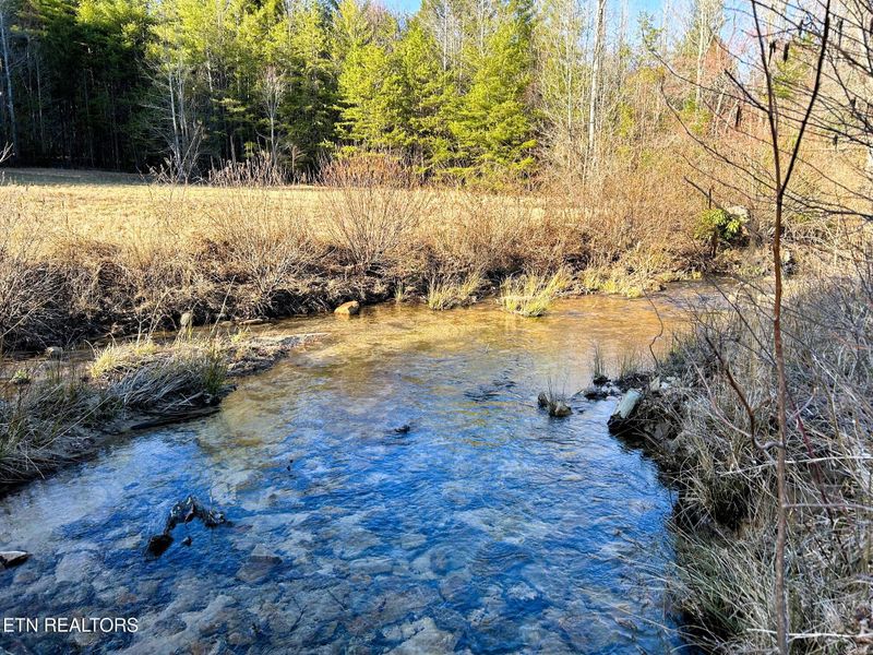 00 Bullet Creek Rd, Reliance, TN 37369