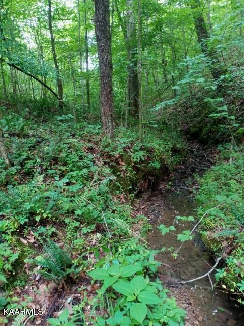 00 County Road 184 Rd, Athens, TN 37303