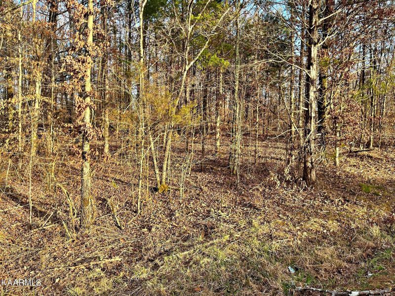 00 County Road 188, Decatur, TN 37322