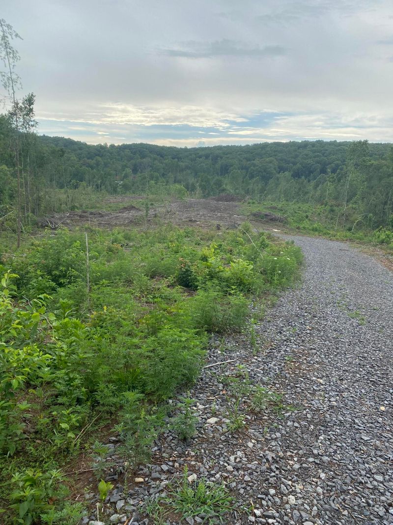 00 County Road 190, Decatur, TN 37322