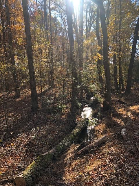 00 County Road 359, Niota, TN 37826