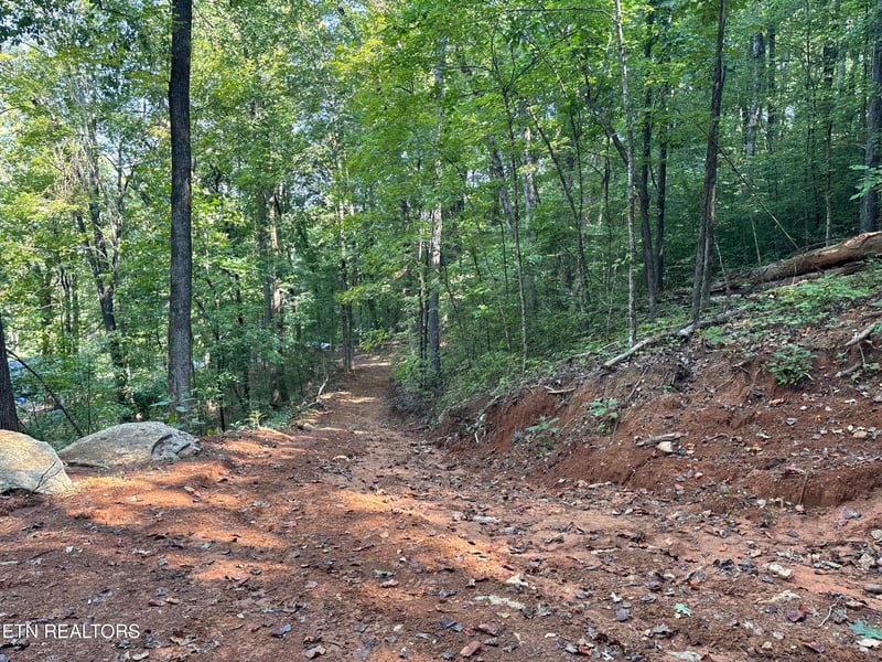 00 County Road 38, Riceville, TN 37370