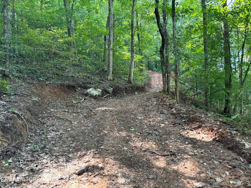 00 County Road 38, Riceville, TN 37370