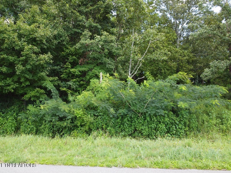 00 County Road 436, Athens, TN 37303