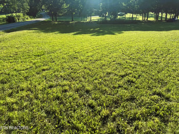 00 County Road 571, Englewood, TN 37329