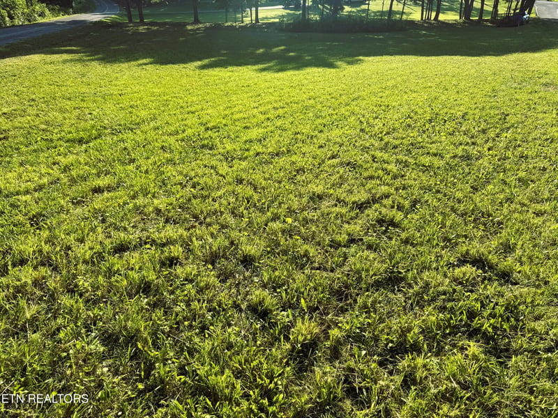 00 County Road 571, Englewood, TN 37329