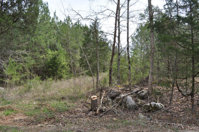 00 County Road 752, Riceville, TN 37370