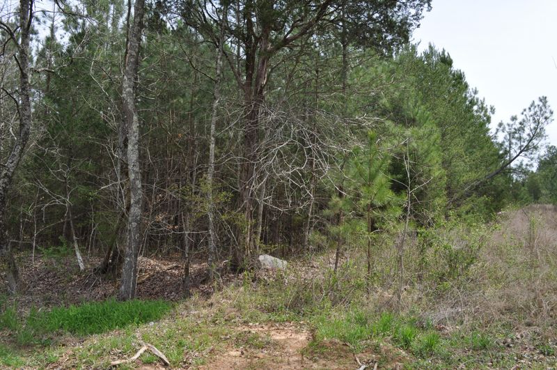 00 County Road 752, Riceville, TN 37370