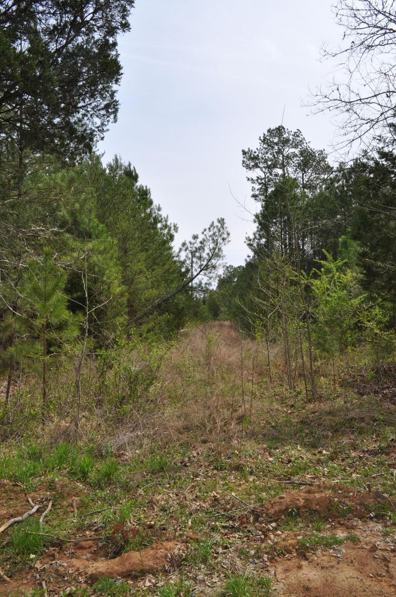00 County Road 752, Riceville, TN 37370