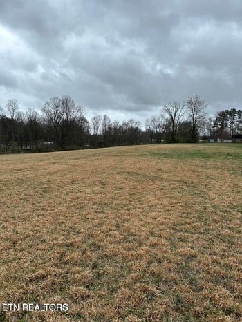 00 Daysville Rd, Rockwood, TN 37854