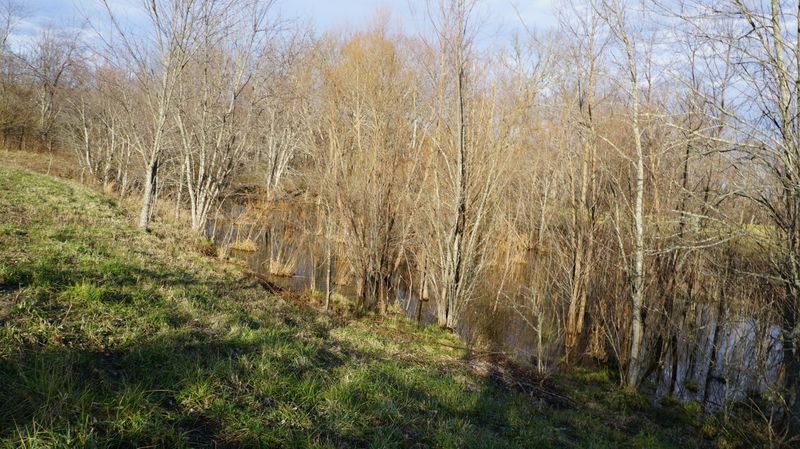 00 Deep Draw Rd, Crossville, TN 38555