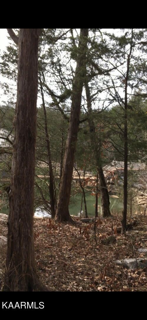 00 E Shore Dr, Rockwood, TN 37854