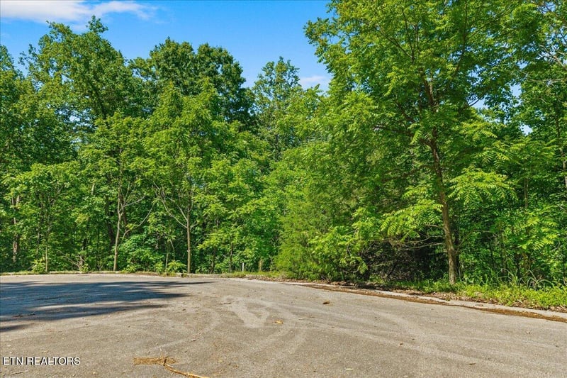 00 Elm Lot 19 Ln, Sweetwater, TN 37874