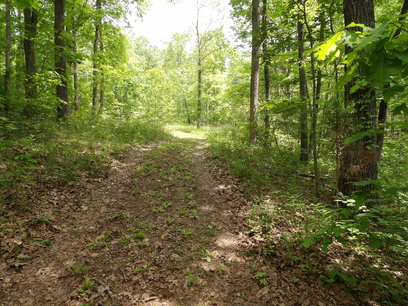 00 Fall Creek Rd, Rockwood, TN 37854