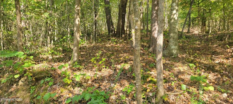 00 Griffith Branch Rd, Madisonville, TN 37354